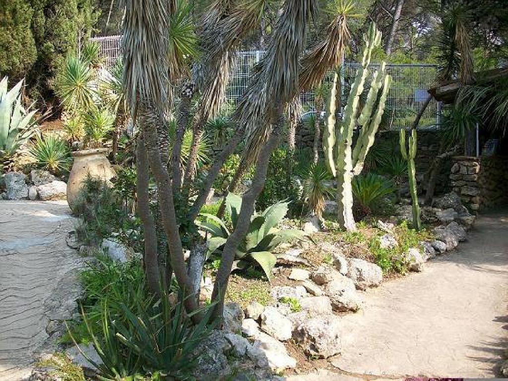 183 D21 SANARY SUR MER 1_000003.jpg